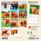 Highland Cows | 2026 7 x 14 Inch (Hanging) Monthly Mini Wall Calendar